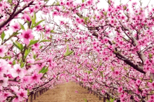image002.gif